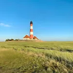 Knutzenswarft - Strandgut *