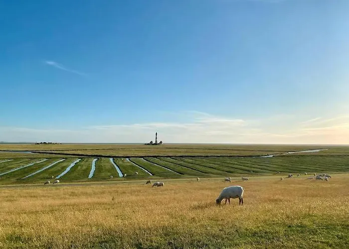 Appartement Strandgut *