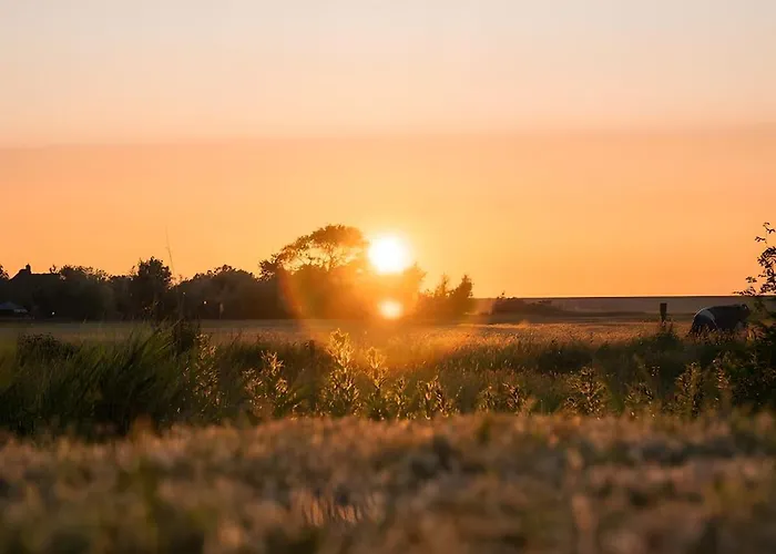 Strandgut Appartement Westerhever